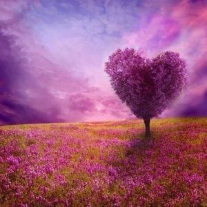 Meet your Posher, Piedonn!